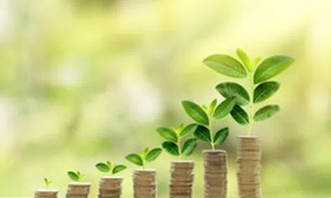 Giải pháp thúc đẩy dòng vốn xanh đến tận hộ gia đình, doanh nghiệp: Bài học từ kinh nghiệm quốc tế
