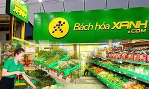 MWG thu hơn 95.000 tỷ trong nửa năm, Bách Hóa Xanh cứ mở cửa hàng là có lãi