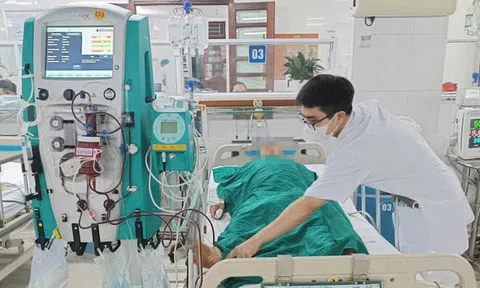 Người đàn ông 68 tuổi suýt mất mạng vì ăn mật cá trắm