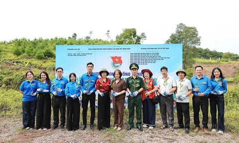 Tuổi trẻ MTTQ, các đoàn thể Trung ương triển khai chiến dịch "Kỳ nghỉ hồng" năm 2026