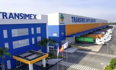 Transimex không mua được cổ phiếu VNF nào như đăng ký