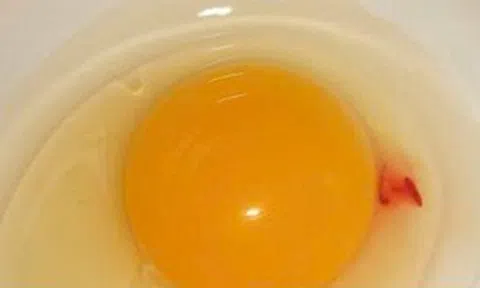 Vì sao lòng đỏ trứng lại có đốm máu? Câu trả lời khiến nhiều người bất ngờ
