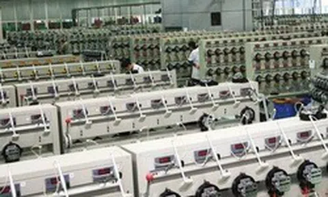 Một công ty trên sàn chỉ có 6 nhân sự báo lãi tăng trưởng 400%, chuẩn bị trả cổ tức 2.000 đồng/cp