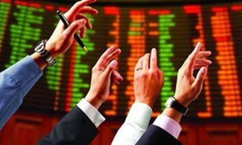 Cổ phiếu Hóa chất Đức Giang “có biến”