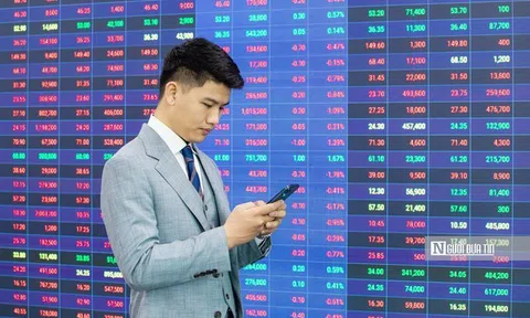 VN-Index lao dốc, công ty chứng khoán chỉ ra vùng "then chốt" cho nhịp cân bằng