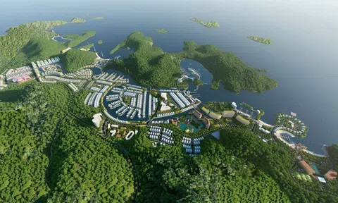 Sở hữu dự án Cát Bà Amatina, CTCP Đầu tư và Phát triển Du lịch ITC tiếp tục báo lỗ