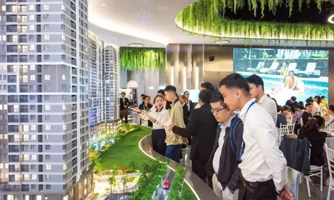 Đề xuất áp thuế cao với đất bỏ hoang, mua bán 'lướt sóng'