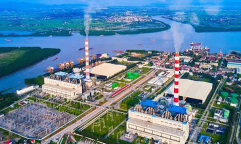 Sau khi Tổng Giám đốc bị bắt, Nhiệt điện Hải Phòng báo lãi hơn 508 tỷ đồng