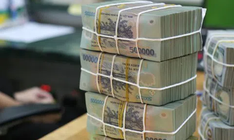 Bao che người nộp thuế, cản trở xác minh thông tin bị phạt tới 100 triệu đồng