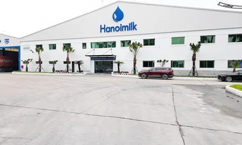 Hanoimilk báo lãi quý II/2026 tăng hơn 56%