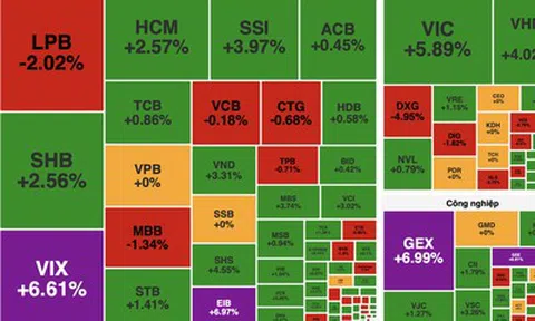 Dòng tiền bắt đáy nhập cuộc, VN-Index bật tăng gần 31 điểm sau nhịp rung lắc