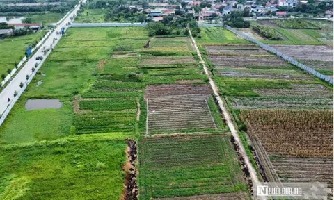 9 trường hợp không được bồi thường khi Nhà nước thu hồi đất theo dự thảo luật mới