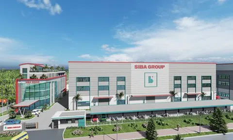 Siba Group bị phạt, truy thu thuế gần 17 tỷ đồng