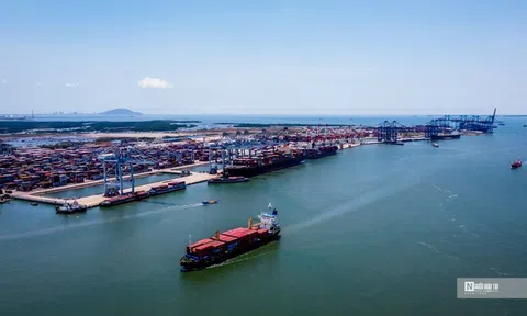 Phát triển mạnh doanh nghiệp biển, nhất là các tập đoàn, tổng công ty quy mô lớn