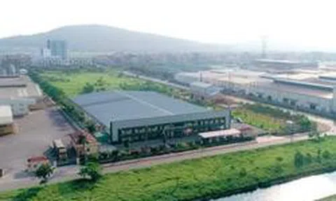 Giá lợn hơi giảm kéo lãi ròng quý II/2026 của Dabaco ‘đi lùi’ 43%