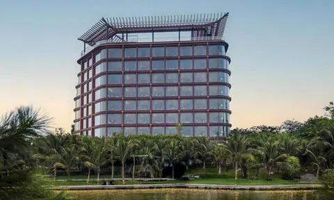 Doanh thu 6 tháng năm 2026 của OCH đạt mức kỷ lục trong 20 năm