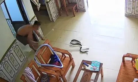 Nghe tiếng động lạ, cô gái bàng hoàng phát hiện rắn rơi từ điều hòa xuống phòng ngủ
