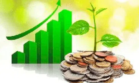 Lịch chốt quyền cổ tức tuần đầu tháng 8: Vinhomes "lăn chốt", cổ tức tiền mặt cao nhất 100%