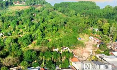 Từ ngày 31/8, tự ý chuyển đất trồng lúa sang đất ở bị phạt nặng