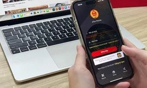 Cơ quan thuế khuyến cáo 3 nhóm người nên thường xuyên rà soát mã số thuế