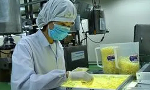 Loạt dược sĩ tại một công ty trên sàn chứng khoán bị “tuýt còi”