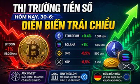 Thị trường tiền số hôm nay, 30-6: Diễn biến trái chiều