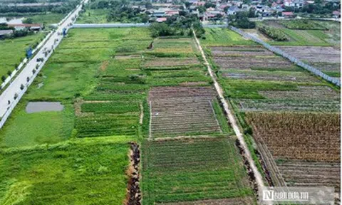 9 trường hợp không được bồi thường khi Nhà nước thu hồi đất theo dự thảo luật mới