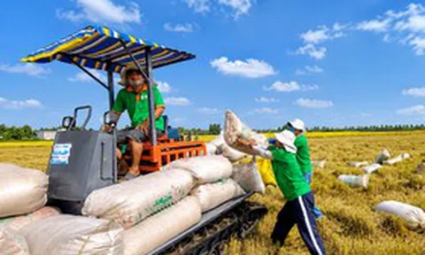 Nợ vay của Xuất nhập khẩu Kiên Giang tăng gấp 5 lần sau nửa đầu năm 2026