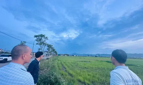 Tạm dừng đấu giá lô đất nông thôn giá khởi điểm hơn 5 tỷ đồng