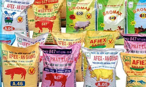 Doanh thu tài chính khởi sắc, Afiex tăng gần 40% lợi nhuận