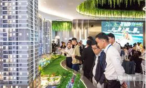 Rà soát, truy thu thuế với bác sĩ, luật sư, môi giới bất động sản