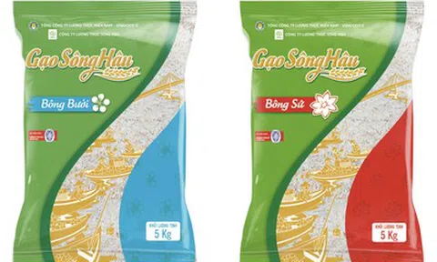 Lợi nhuận tăng, Vinafood II vẫn gánh hơn 3.000 tỷ đồng nợ vay