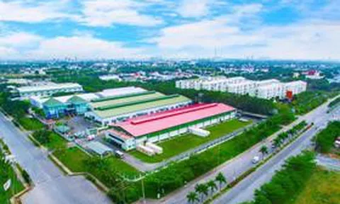 Long Hậu sắp chi hơn 105 tỷ đồng trả cổ tức tiền mặt
