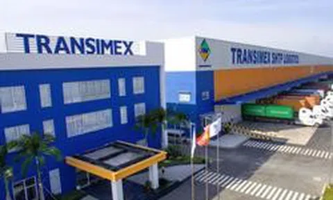 Transimex sắp trả cổ tức bằng cổ phiếu tỷ lệ 7%