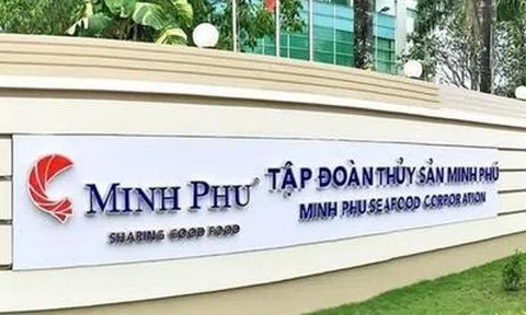 "Vua tôm" Minh Phú báo lãi quý II/2026 gần 195 tỷ đồng