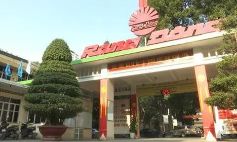 Lãi tăng mạnh trong quý II/2026, Rạng Đông sắp chi gần 59 tỷ đồng cổ tức tiền mặt