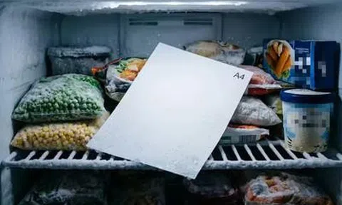 Lý do nên đặt một tờ giấy A4 vào ngăn đông tủ lạnh