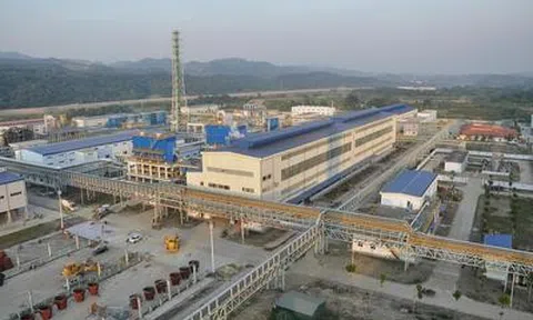 Vimico lãi hơn 2.400 tỷ đồng sau nửa năm, tài sản vượt 12.300 tỷ đồng