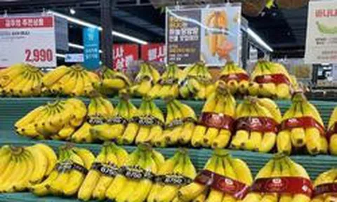 Công ty con của HAGL chốt thời gian IPO 18,8 triệu cổ phiếu
