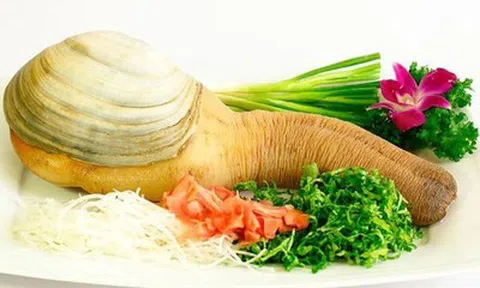 Loài ốc có tên nghe lạ tai và hình dáng đặc biệt, gây chú ý nhờ phần thịt giòn ngọt