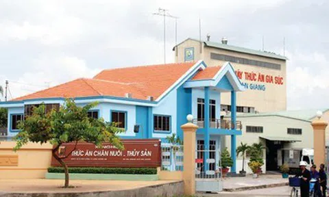 Afiex miễn nhiệm Phó Tổng Giám đốc, lên kế hoạch huy động 350 tỷ đồng