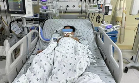 Ăn thịt chuột, ba chị em nguy kịch
