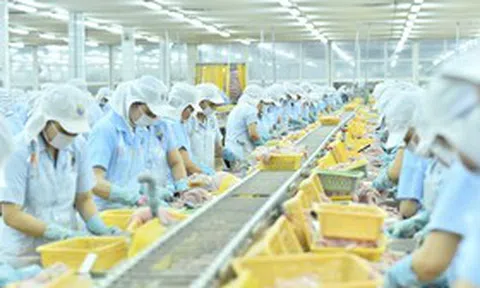 3 lần gom cổ phiếu ANV, lãnh đạo Nam Việt nâng sở hữu lên 1,18%