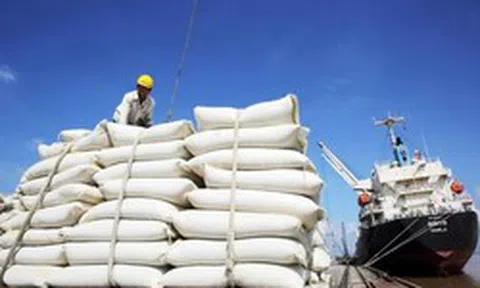Giá gạo xuất khẩu đồng loạt tăng