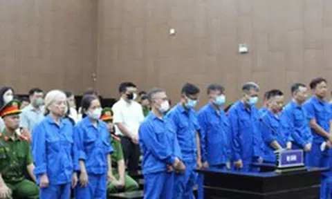 Vụ ông Nguyễn Bá Hoan: Phí cấp phép 5 triệu đồng, giám đốc công ty luật thu từ 650 triệu đến 1 tỷ đồng/hồ sơ