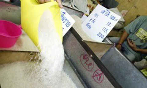 Không phải sầu riêng, một mặt hàng chủ lực của Việt Nam vừa bị Thái Lan vượt mặt tại thị trường quan trọng