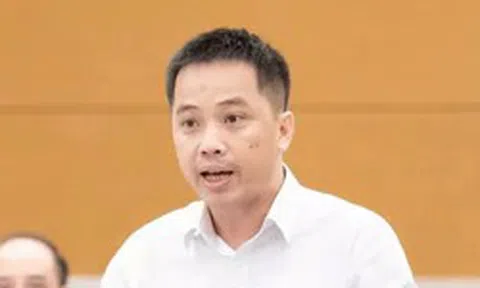'Một hàng phở làm sao chứng minh được những con gà có hóa đơn, chứng từ?'