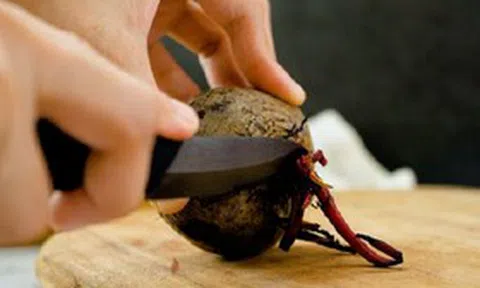Mỹ đánh giá "củ tốt bậc nhất thế giới", hóa ra ở Việt Nam hễ ra chợ là thấy