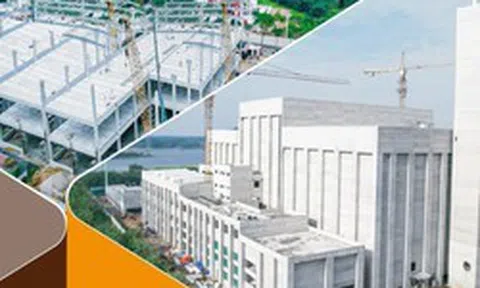 Vinadic được giao hơn 48.700m2 đất làm dự án Xây dựng chợ nguyên liệu gỗ Vân Hà