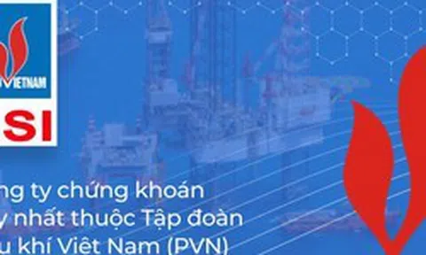 Chứng khoán Dầu khí sắp phát hành trái phiếu riêng lẻ